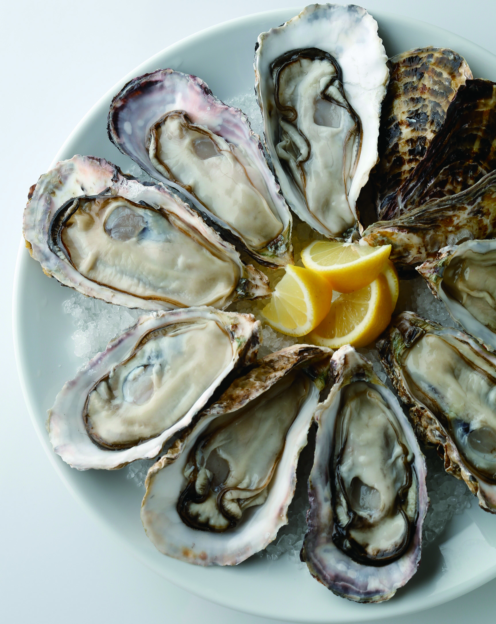 ザ・カーブ・ド・オイスター 店舗画像2