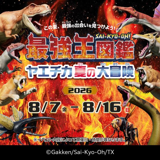8/7(金)～8/16(日) 最強王図鑑 ヤエチカ夏の大冒険