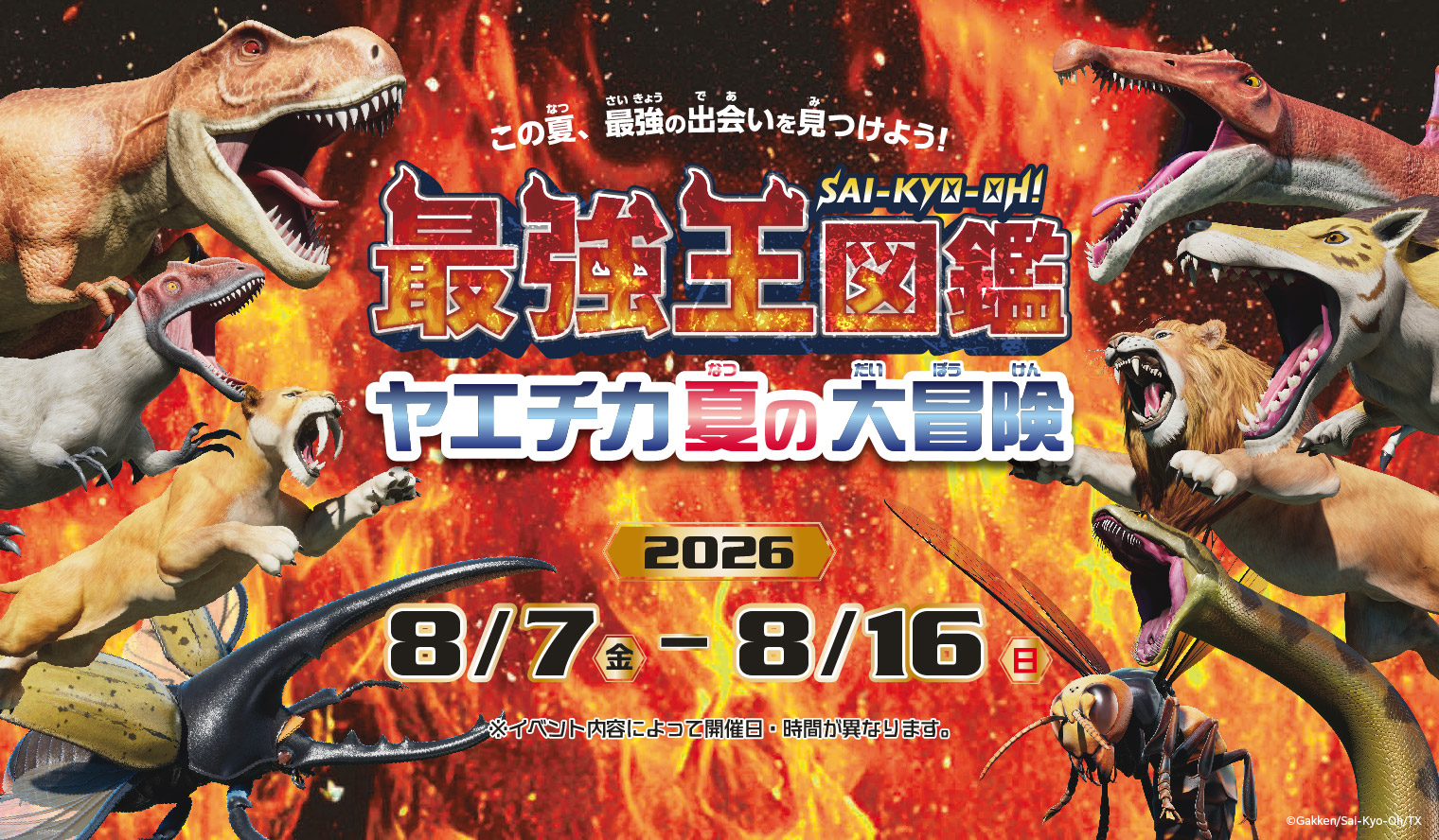 最強王図鑑 ヤエチカ夏の大冒険