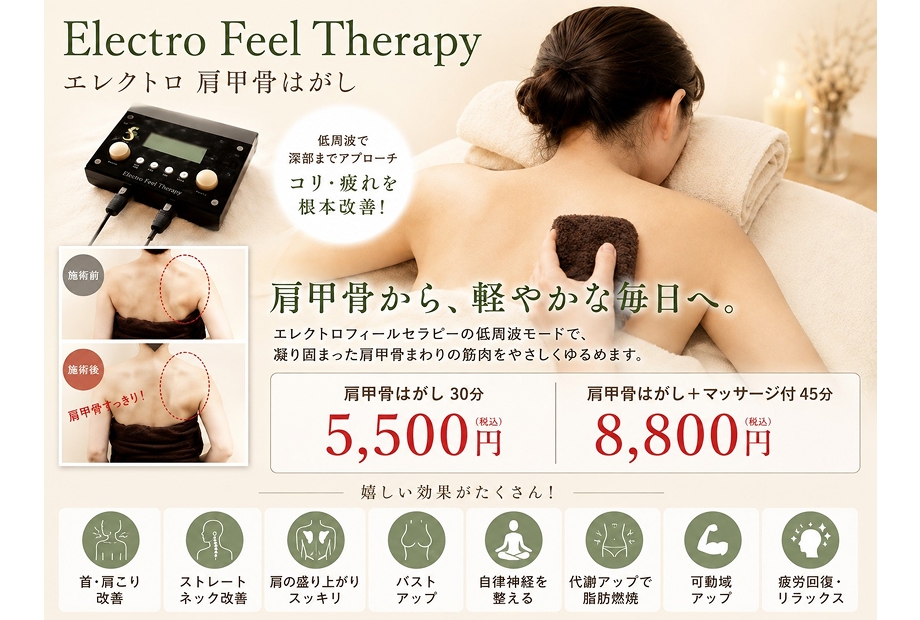 10月キャンペーンのご案内